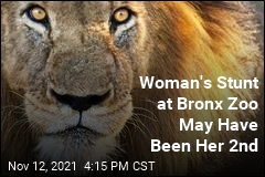 At the Bronx Zoo, Another Apparent Stunt by &#39;Lion Queen&#39;