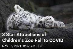 Three Star Attractions of Children&#39;s Zoo Fall to COVID