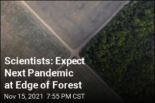 Scientists: Expect Next Pandemic at Edge of Forest