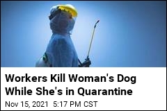 Chinese Authorities Put Woman in Quarantine, Kill Her Dog