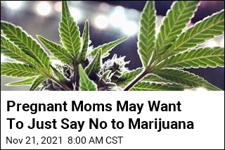 Pregnant Moms May Want To Just Say No to Marijuana