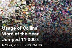 Usage of Collins&#39; Word of the Year Jumped 11,000%