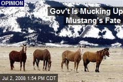 Gov't Is Mucking Up Mustang's Fate