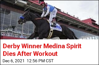 Derby Winner Medina Spirit Dies After Workout