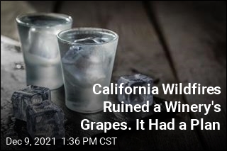 Winery Whose Grapes Were Ruined by Smoke Shifts to Vodka