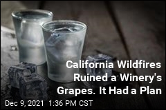 Winery Whose Grapes Were Ruined by Smoke Shifts to Vodka