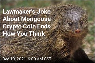 Lawmaker&#39;s Joke About Mongoose Crypto Coin Ends How You Think