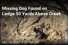 Dog Rescued From Cliff Had Been Missing 2 Weeks