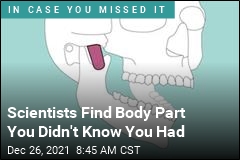 Here&#39;s a Body Part You Didn&#39;t Know You Had