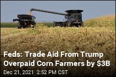 Feds Say Trump&#39;s USDA Overpaid Corn Farmers by $3B