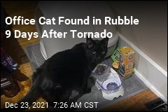 Office Cat Found in Rubble 9 Days After Tornado