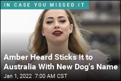 Amber Heard Sticks It to Australia With New Dog&#39;s Name