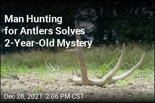 Man Hunting for Antlers Solves 2-Year-Old Mystery