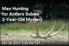 Man Hunting for Antlers Solves 2-Year-Old Mystery