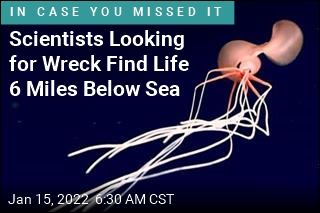 Scientists Looking for Wreck Find Life 6 Miles Below Sea