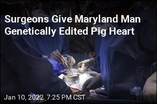 Man Gets First-Ever Heart Transplant From Pig
