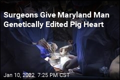 Man Gets First-Ever Heart Transplant From Pig