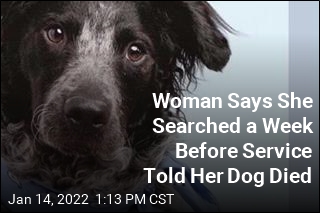 Woman Says She Searched a Week Before Service Told Her Dog Died