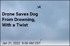 Sausage-Dangling Drone Saves Dog From Drowning