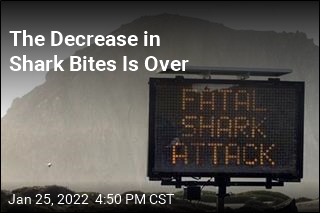 The Decrease in Shark Bites Is Over