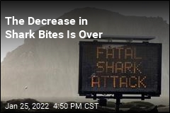 The Decrease in Shark Bites Is Over