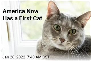 America Now Has a First Cat