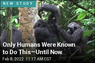 Only Humans Were Known to Do This&mdash;Until Now