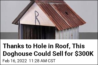 Doghouse With Hole in Roof Could Sell for $300K