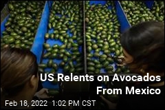 US Relents on Avocados From Mexico