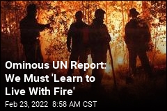 UN Report on Wildfires: Not Even Arctic Will Be Immune