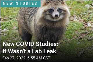 New Studies Refute Idea of Lab Leak for COVID