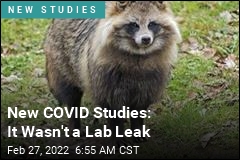 New Studies Refute Idea of Lab Leak for COVID