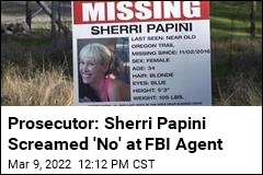 Hearing Surfaces Details of Sherri Papini&#39;s Arrest