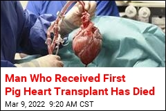 Man Who Received First Pig Heart Transplant Has Died