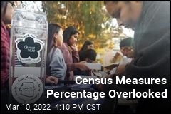 Census Missed Minorities More Often