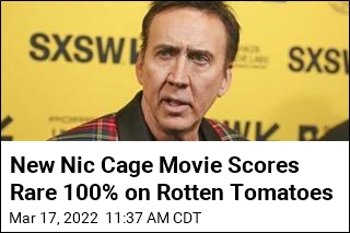 Nic Cage Plays Nick Cage in Acclaimed New Movie