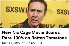Nic Cage Plays Nick Cage in Acclaimed New Movie