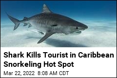 Shark Kills Tourist in Caribbean Snorkeling Hot Spot