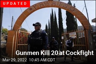 Gunmen Open Fire at Cockfight