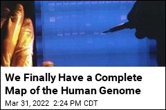 We Finally Have a Complete Map of the Human Genome