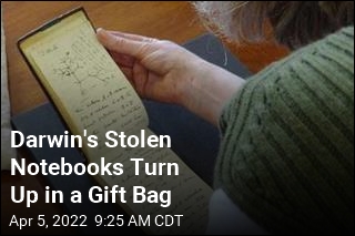 Darwin&#39;s Stolen Notebooks Turn Up in a Gift Bag