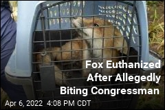Fox Blamed for 9 Bites on Capitol Grounds Euthanized