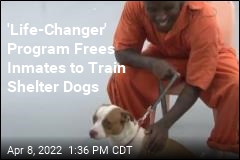 &#39;Life-Changer&#39; Program Frees Inmates to Train Shelter Dogs