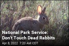 National Park Service: Don&#39;t Touch Dead Rabbits