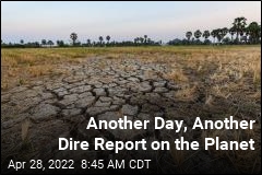 Another Day, Another Dire Report on the Planet