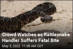 Crowd Watches as Rattlesnake Handler Suffers Fatal Bite
