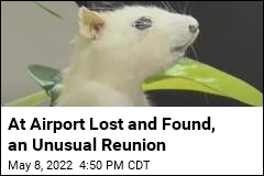 Airport&#39;s Lost and Found Results in Odd Reunion