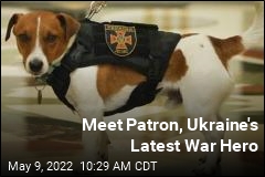 Meet Patron, Ukraine&#39;s Latest War Hero