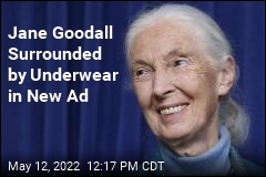 Jane Goodall Now Fronting Underwear Campaign