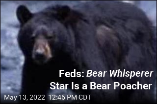 Feds: Bear Whisperer Star Is a Bear Poacher